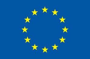 Euro