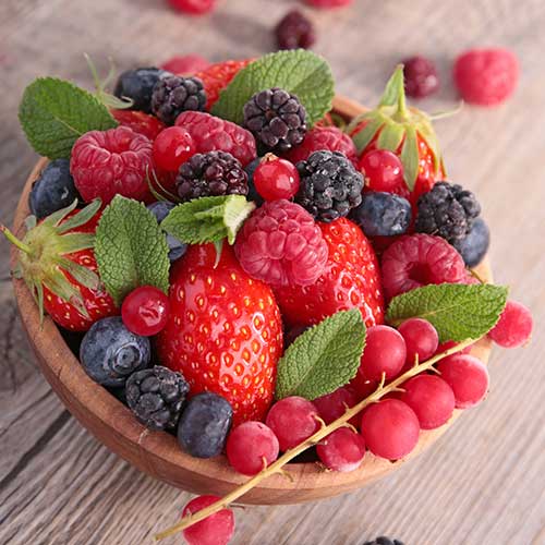 Fruit Bushes