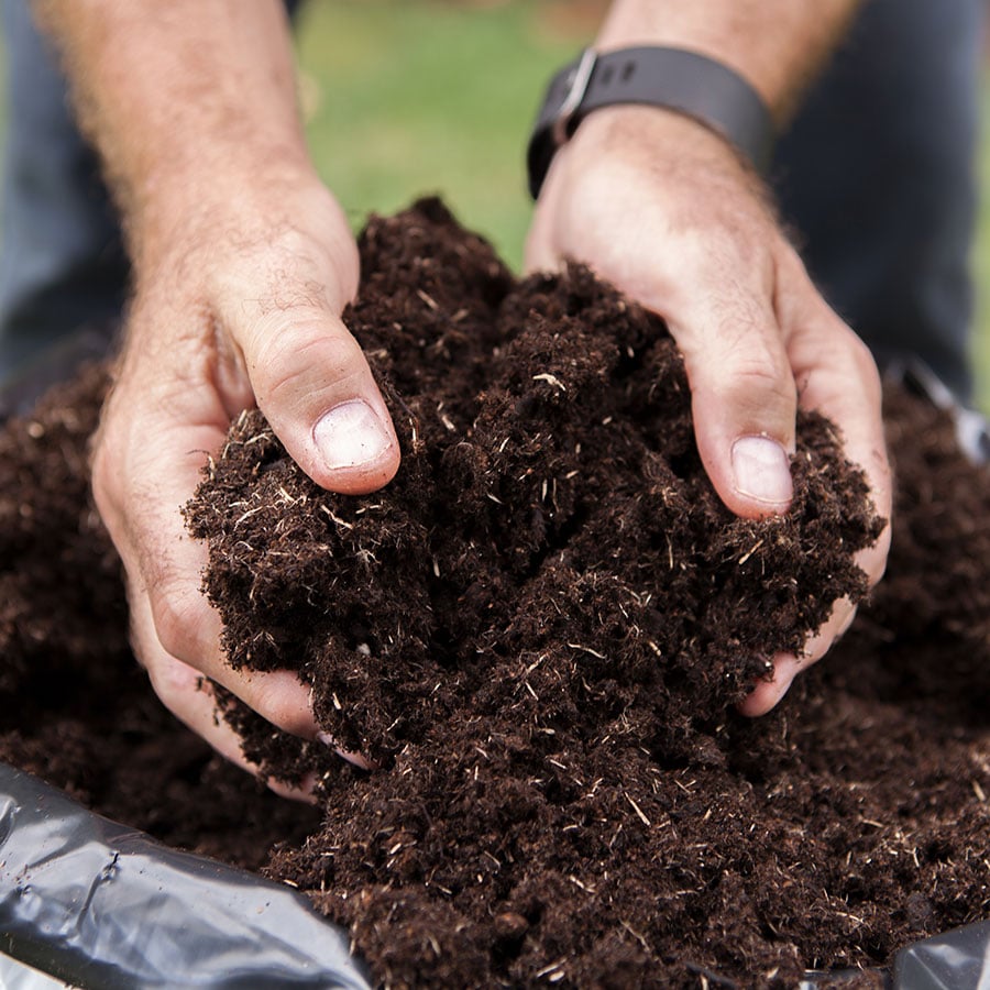 Compost