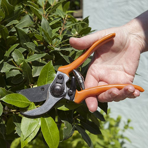 Garden Tools