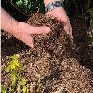 Feeds and Fertilisers