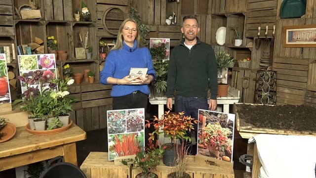 Thursday 18th September Show