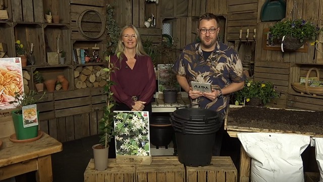 Sunday 21st September