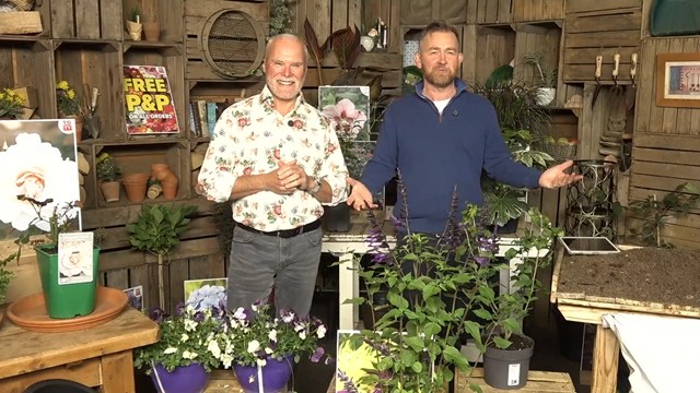 Sunday 28th September Show