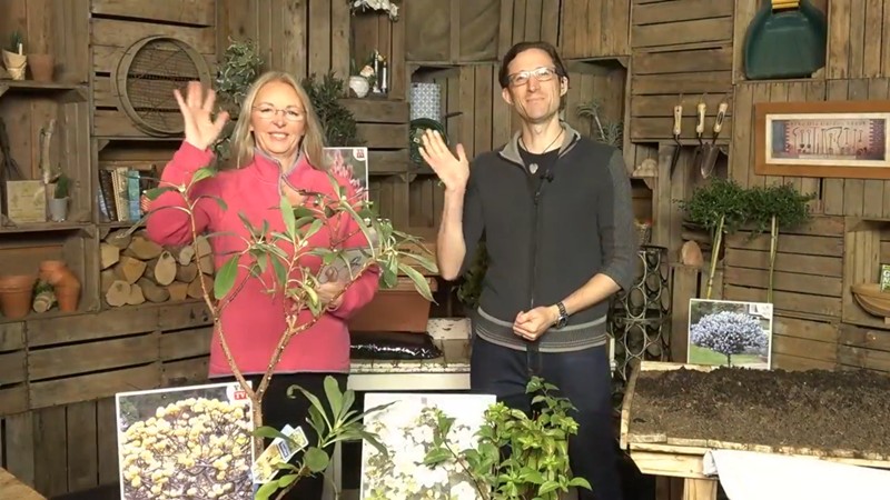 Sunday 12th October Show