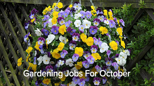 Gardening Calendar