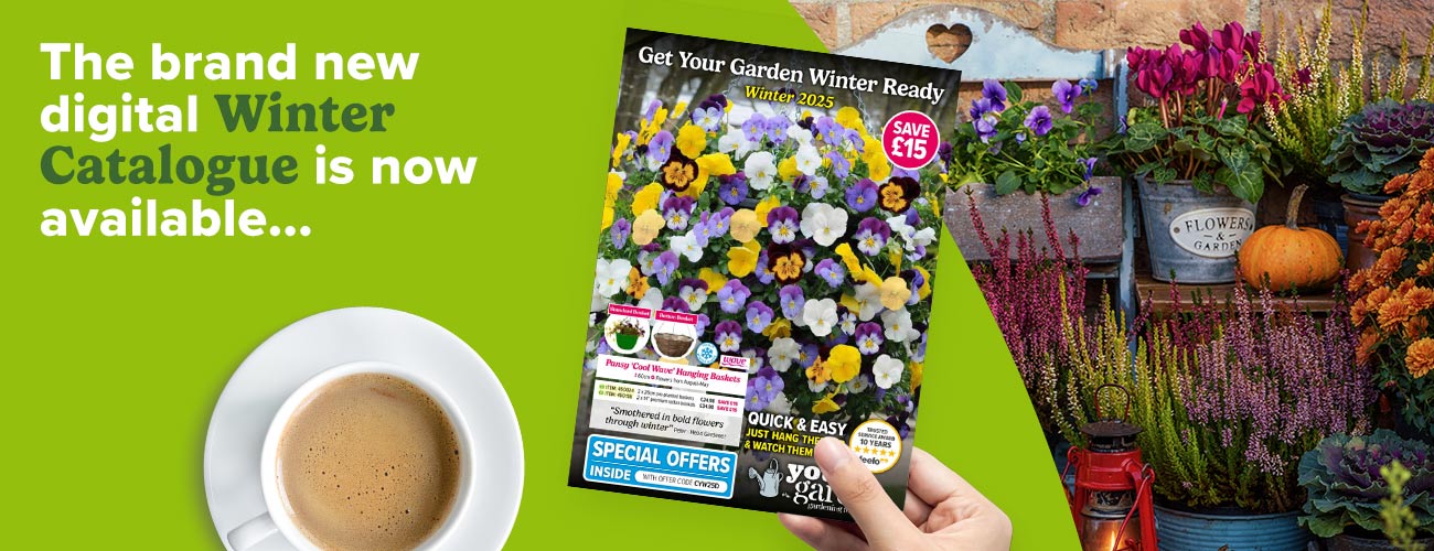 New 'Winter' 2025 Digital Catalogue - Out Now