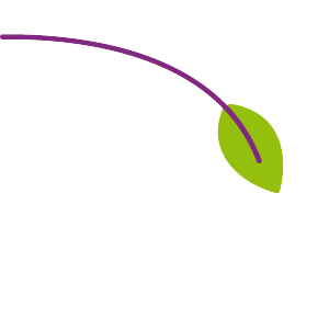 Left Hand Branch