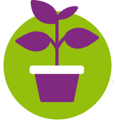 15% off all Plants & Accessories