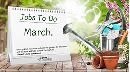 Garden Jobs to do in March